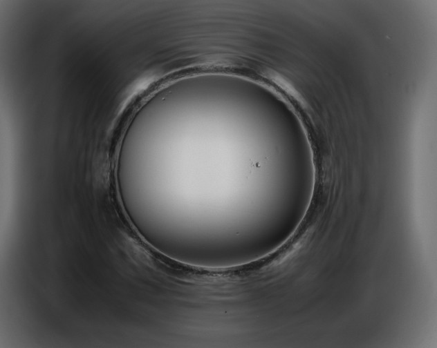 X0000086741067200704131124