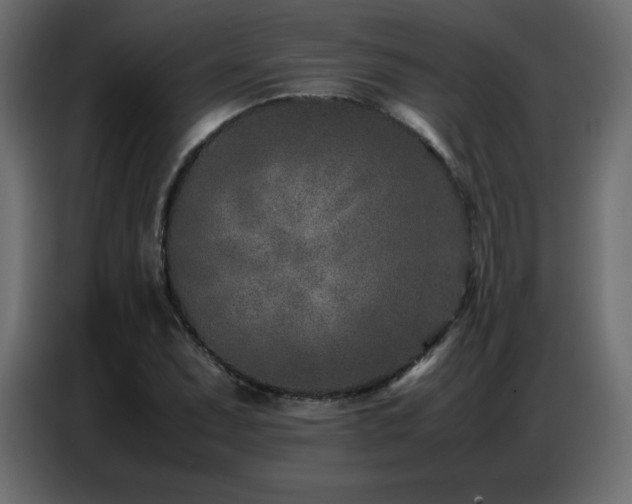 X0000086741071200704131124