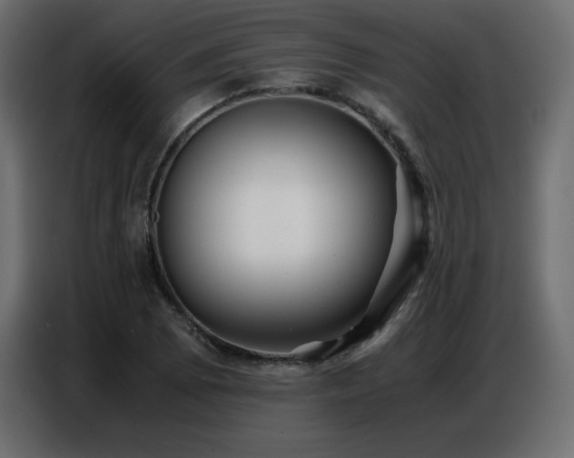 X0000086741073200704131124