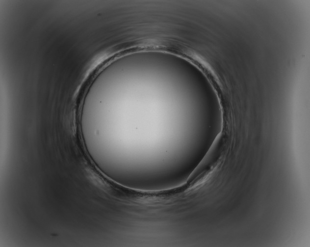 X0000086741075200704131123