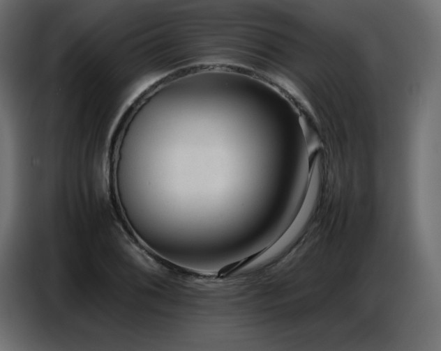 X0000086741076200704131123