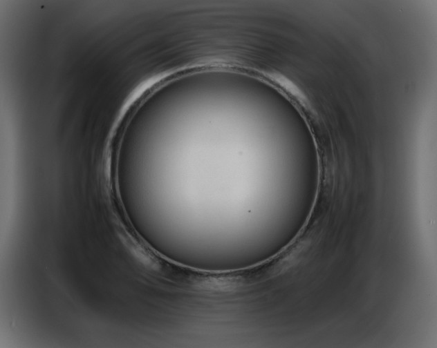 X0000086741078200704131123