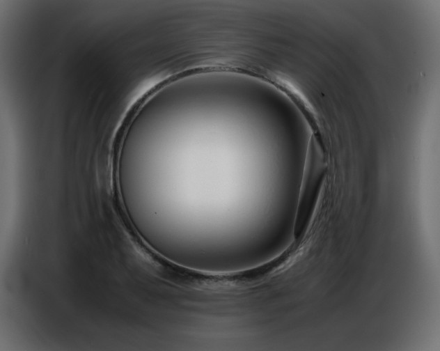 X0000086741079200704131123