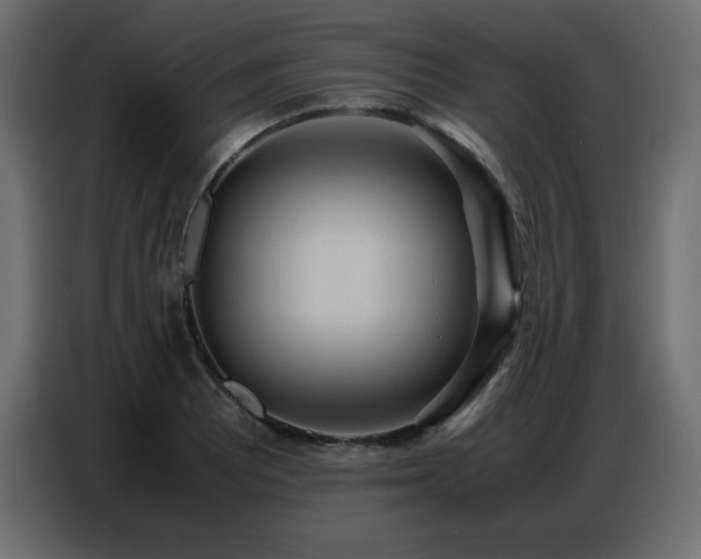 X0000086741081200704131123