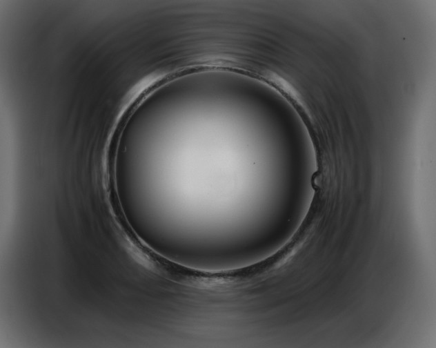 X0000086741082200704131123