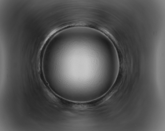 X0000086741083200704131123