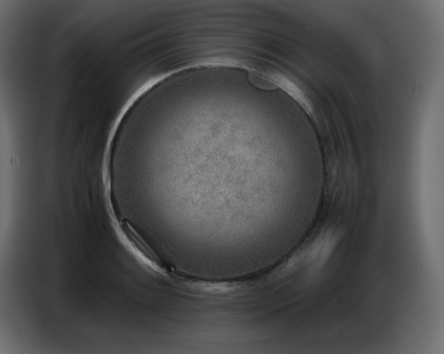 X0000086741084200704131123