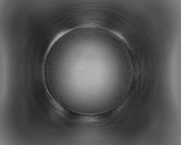 X0000086741086200704131123