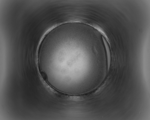 X0000086741088200704131123
