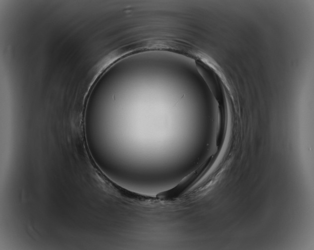 X0000086741089200704131123