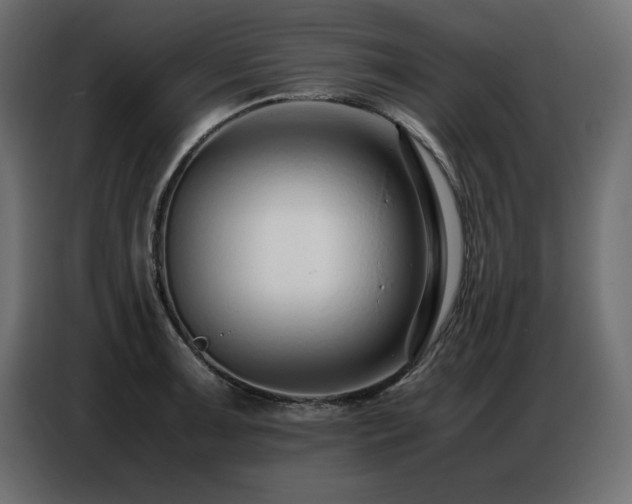 X0000086741091200704131123