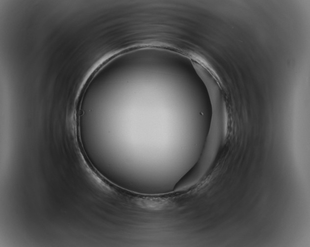 X0000086741092200704131123