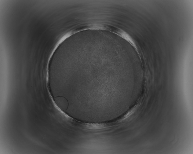 X0000086741095200704131123