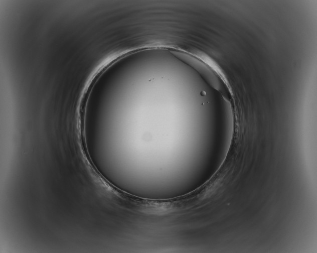 X0000086741096200704131123