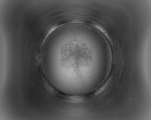 X0000086741097200704131123