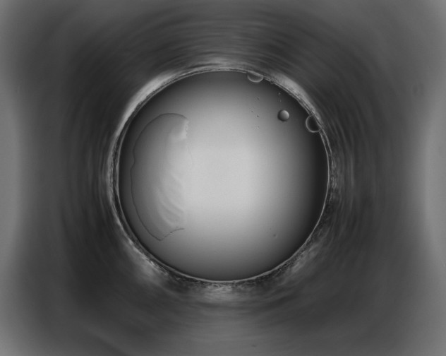 X0000086741098200704131123