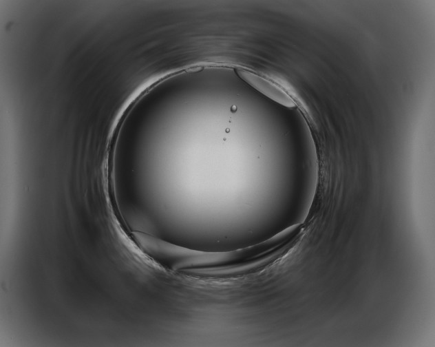 X0000086741100200704131123