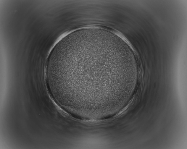 X0000086741101200704131123
