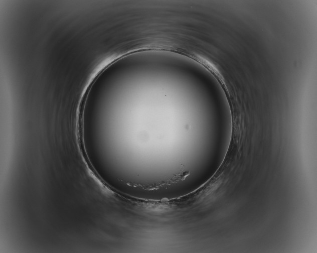 X0000086741103200704131123