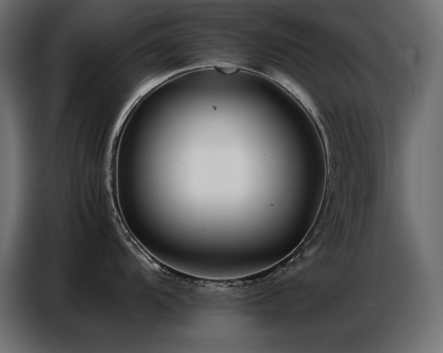 X0000086741104200704131123