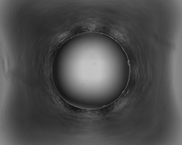 X0000086741105200704131122