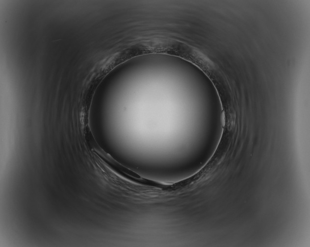 X0000086741108200704131122