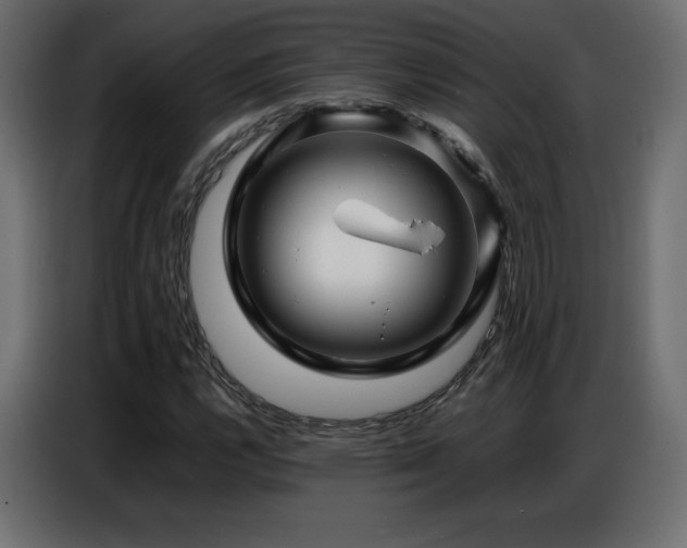 X0000086741112200704131122