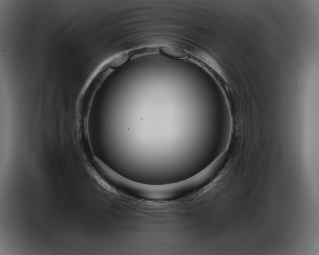 X0000086741116200704131122