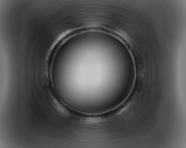 X0000086741118200704131123