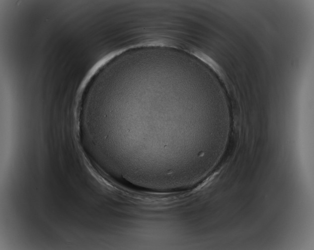 X0000086741120200704131123