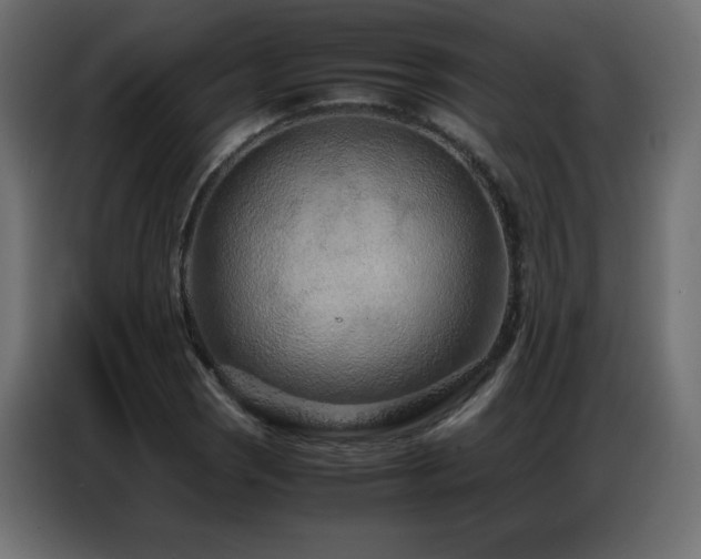 X0000086741121200704131123