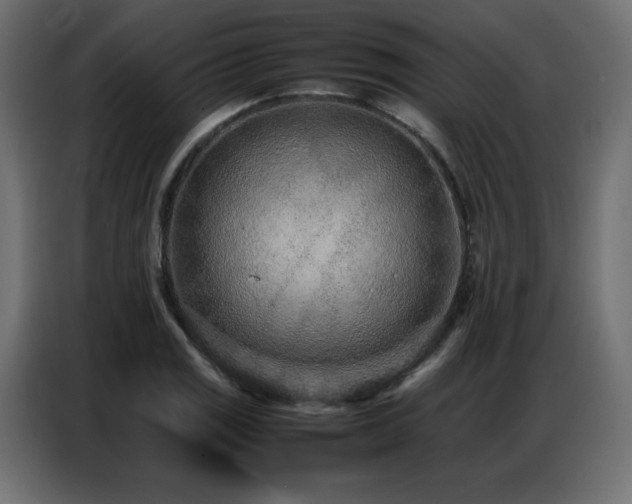 X0000086741125200704131123