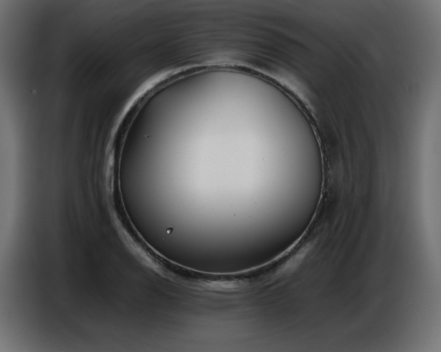 X0000086741126200704131123