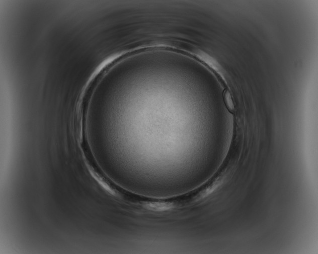X0000086741127200704131123