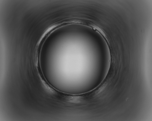 X0000086741131200704131123