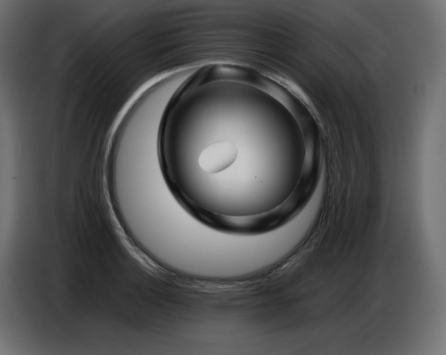 X0000086741132200704131123
