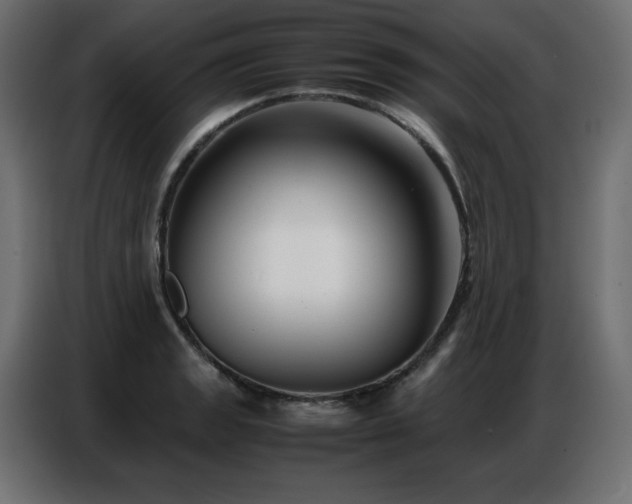 X0000086741133200704131123