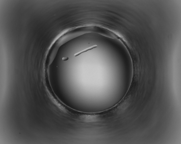 X0000086741134200704131123
