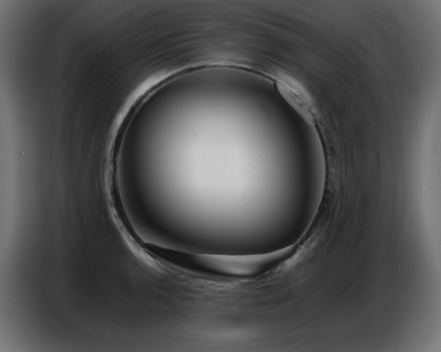 X0000086741136200704131123