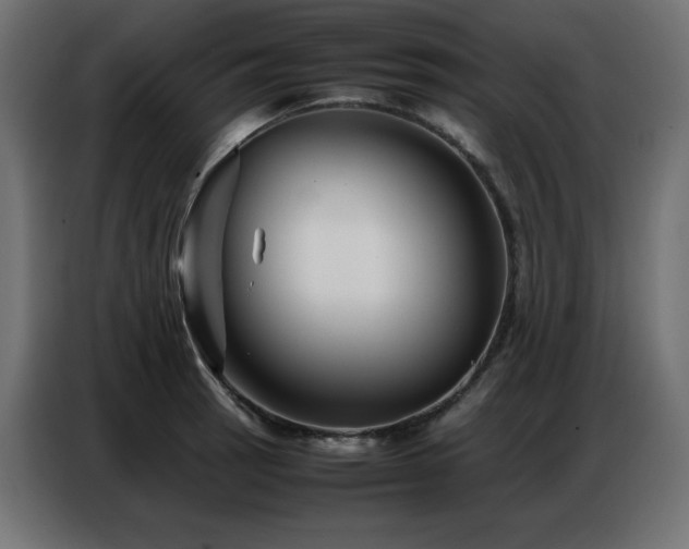 X0000086741137200704131123