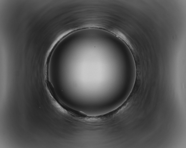 X0000086741140200704131123