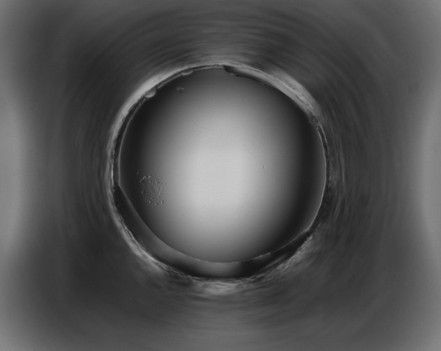 X0000086741144200704131123