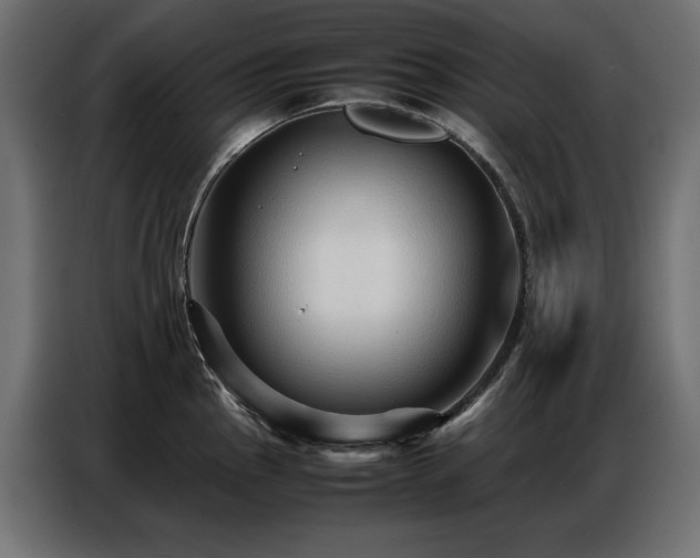 X0000086741145200704131123