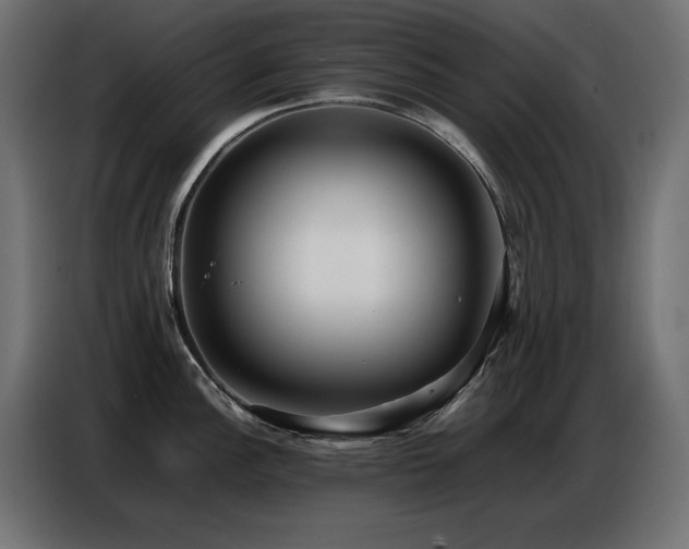 X0000086741148200704131123