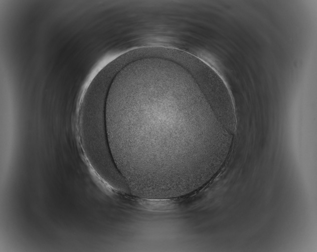 X0000086741152200704131123