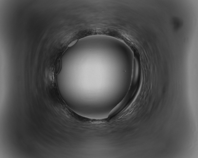 X0000086741155200704131122