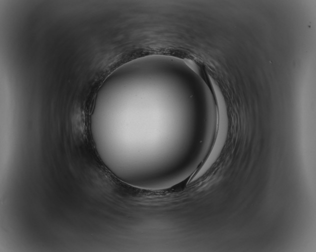 X0000086741156200704131122