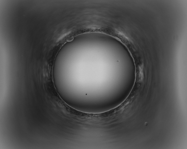 X0000086741158200704131122