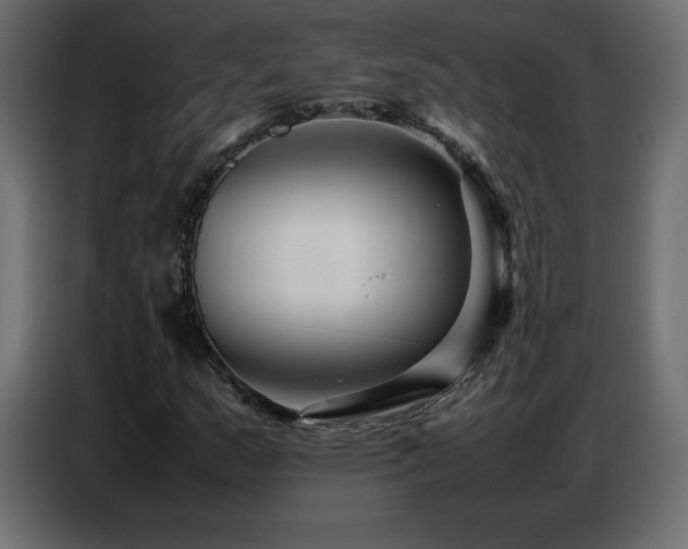X0000086741159200704131122