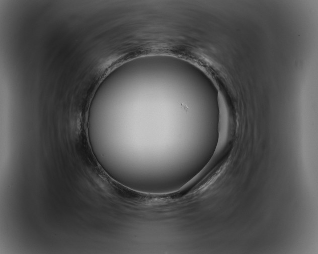 X0000086741161200704131122
